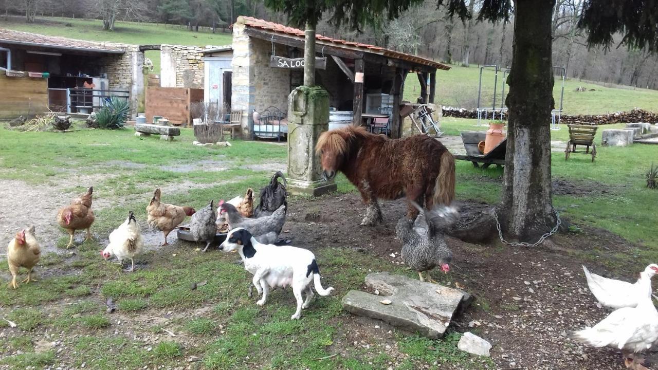 Domaine De Fontenelay Gezier-et-Fontenelay 部屋 写真